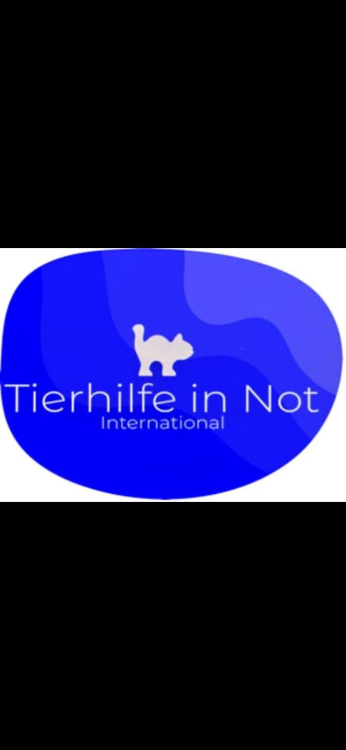 Tierhilfe in Not international