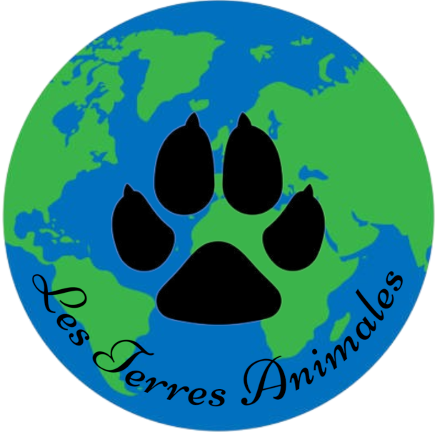 les Terres Animales