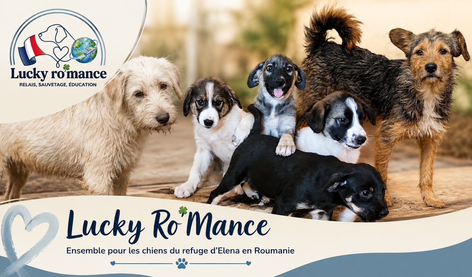 Lucky Ro’Mance