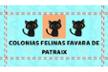 ASOCIACIÓN COLONIAS FELINAS DE FAVARA PATRAIX