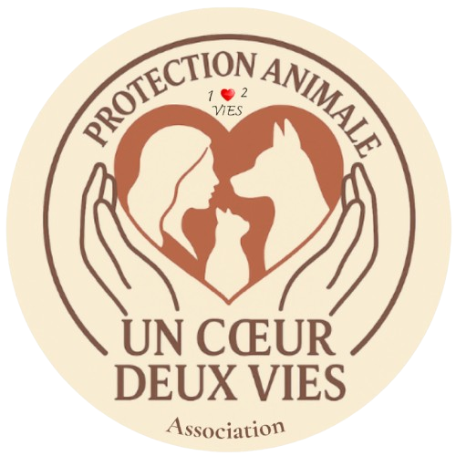 UN COEUR DEUX VIES (1❤️2vies)