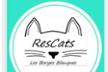 ResCats (Borges Blanques)