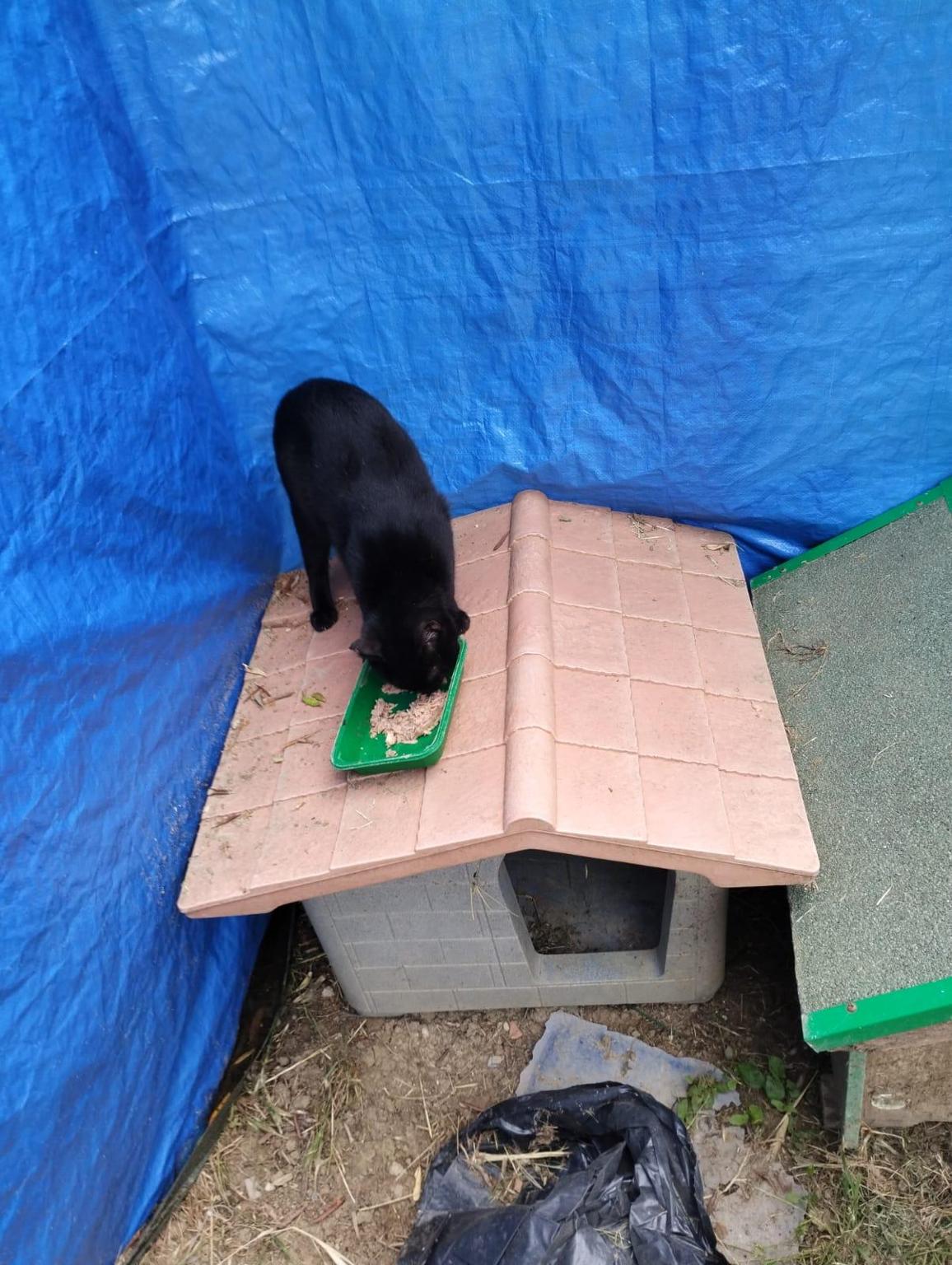 Giulia e i suoi fratelli