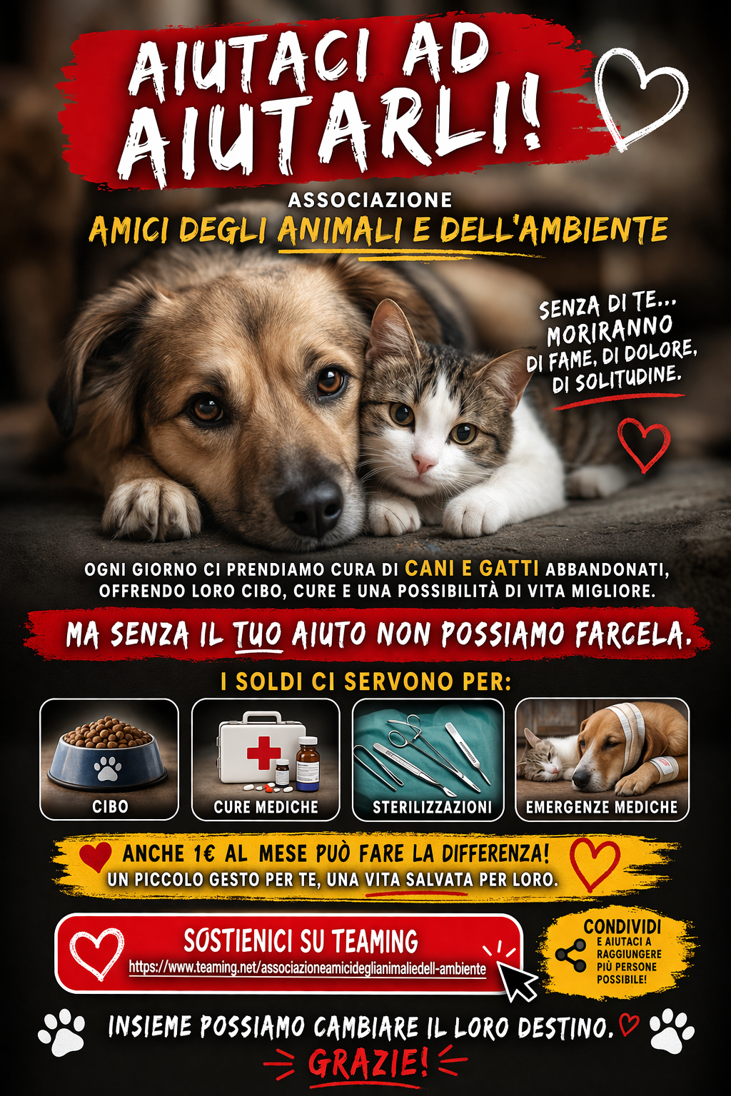 Associazione amici degli animali e dell'ambiente