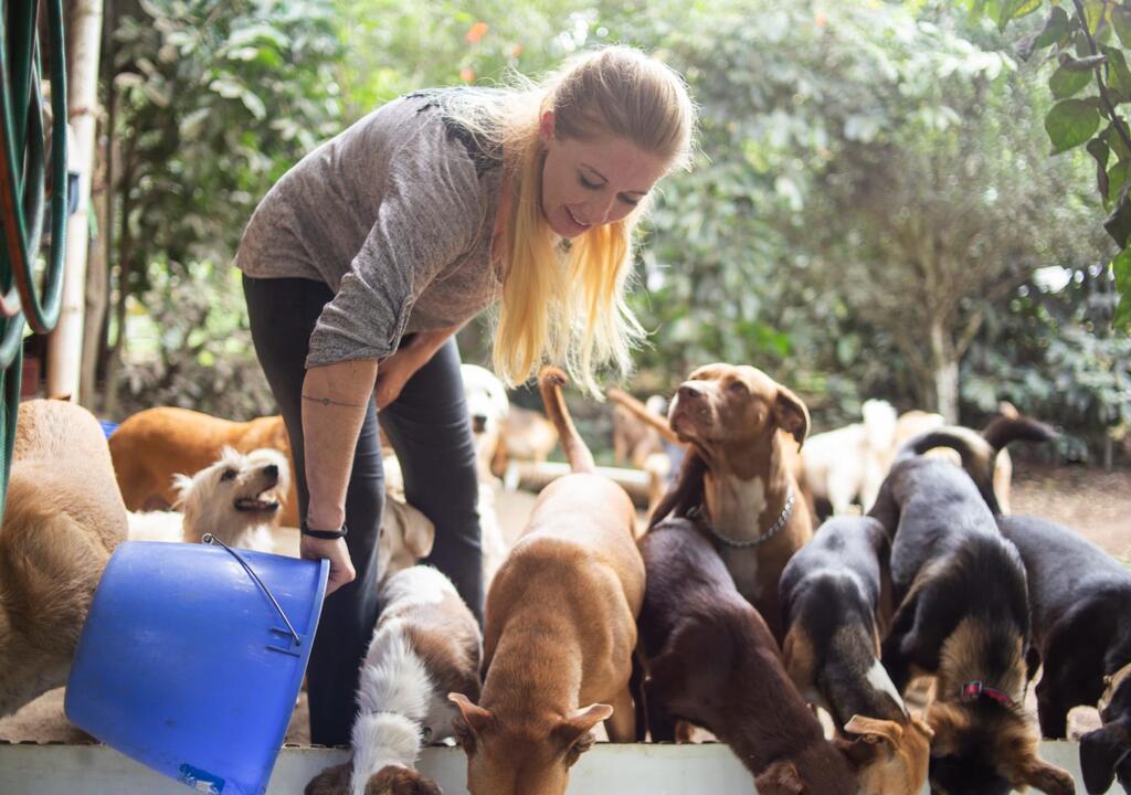 Patitas Galapagueñas – Help our Rescued Animals