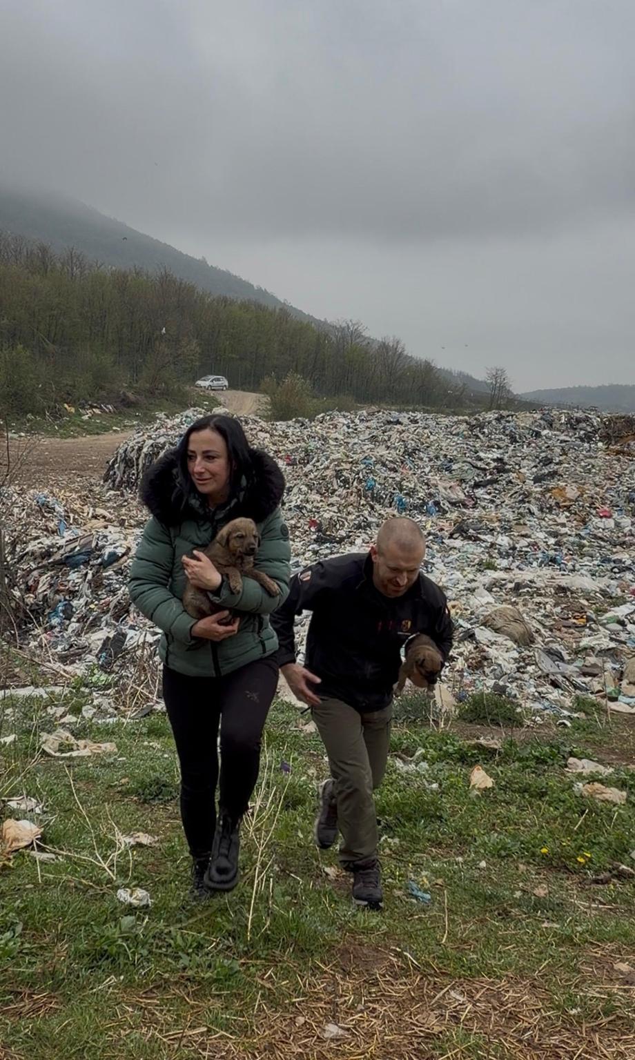 Shield of dogs - Verein zur Hunderettung