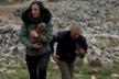 Shield of dogs - Verein zur Hunderettung