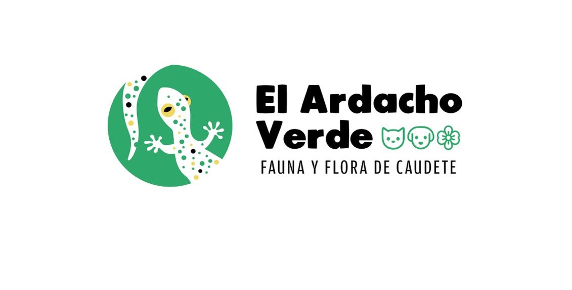 El Ardacho Verde
