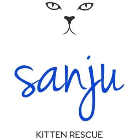 Santuario Sanju - Rescate de gatitos en Jávea