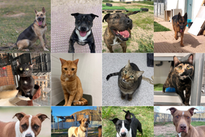 Sosteniendo vidas Con Alma