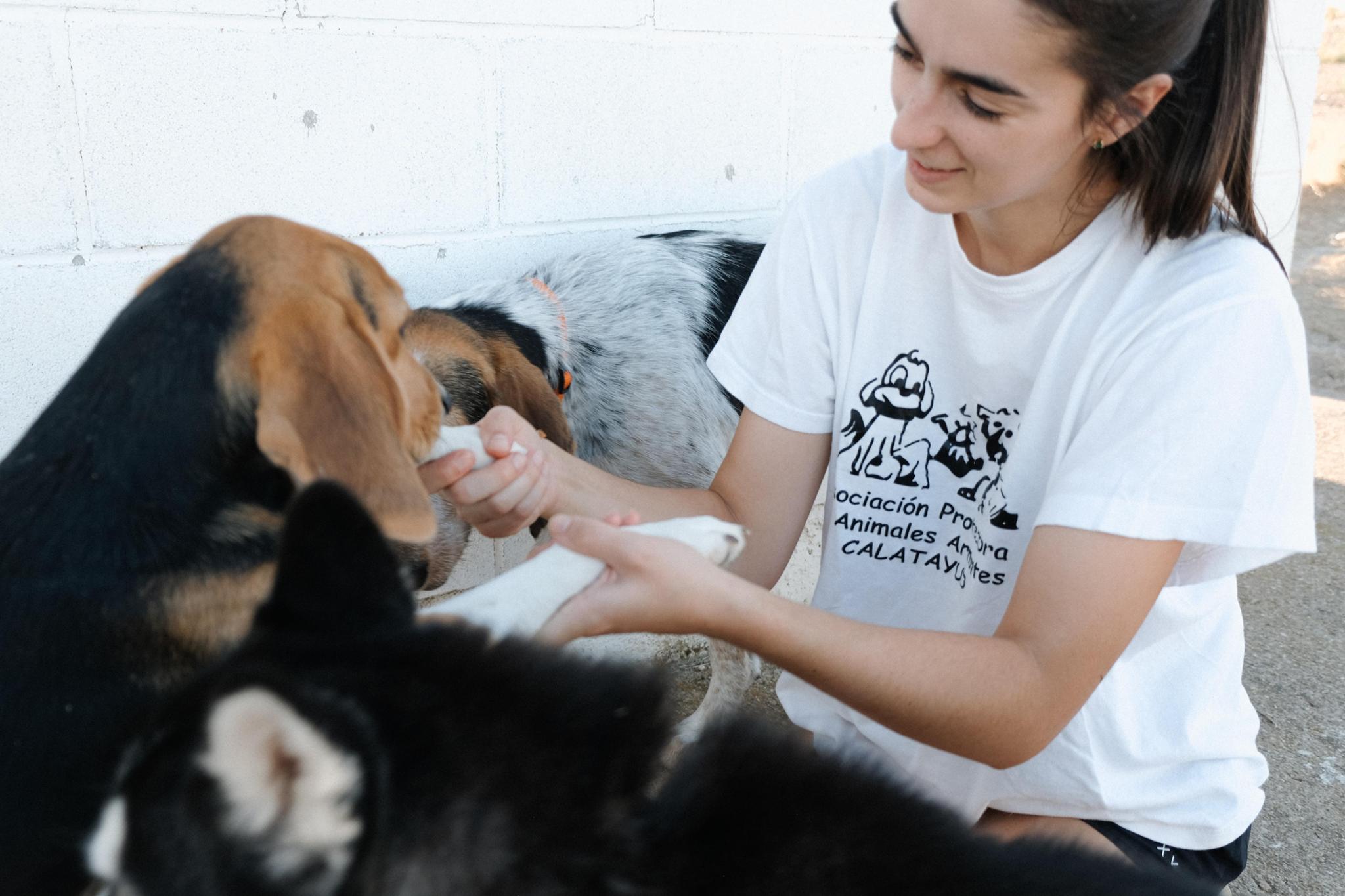 Ayúdanos a salvar vidas perrunas con solo 1 € al mes