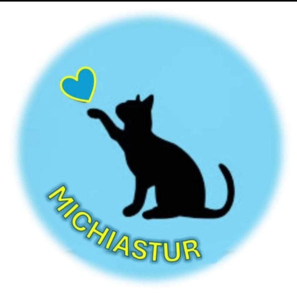 Asociación Michiastur candas