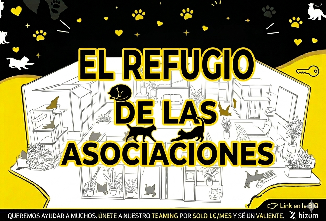 La Gatcueva Collaborative Feline Shelter