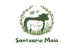 GRUPPO ERRORE SANTUARIO
