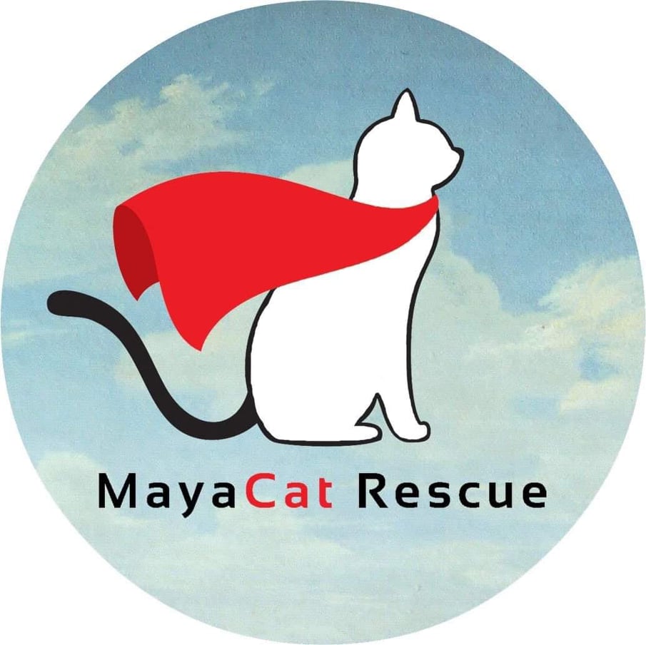 MayaCat Rescue-Every life is worth saving