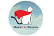 MayaCat Rescue-Jedes Leben ist es wert gerettet zu werden