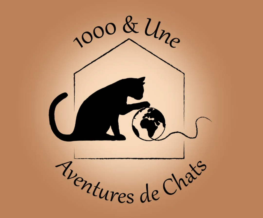 1000 & Une Aventures de Chats
