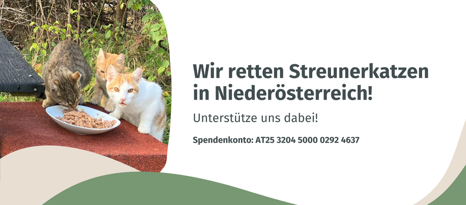 Streunerpfoten Thermenregion