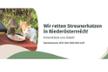 Streunerpfoten Thermenregion