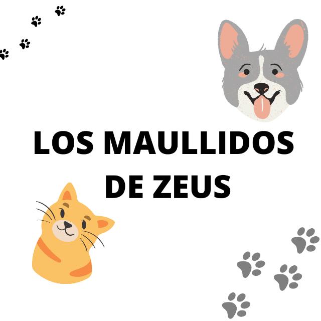 Asociación de animales LOS MAULLIDOS DE ZEUS