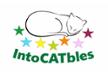 INTOCATBLES. GATOPOLIS