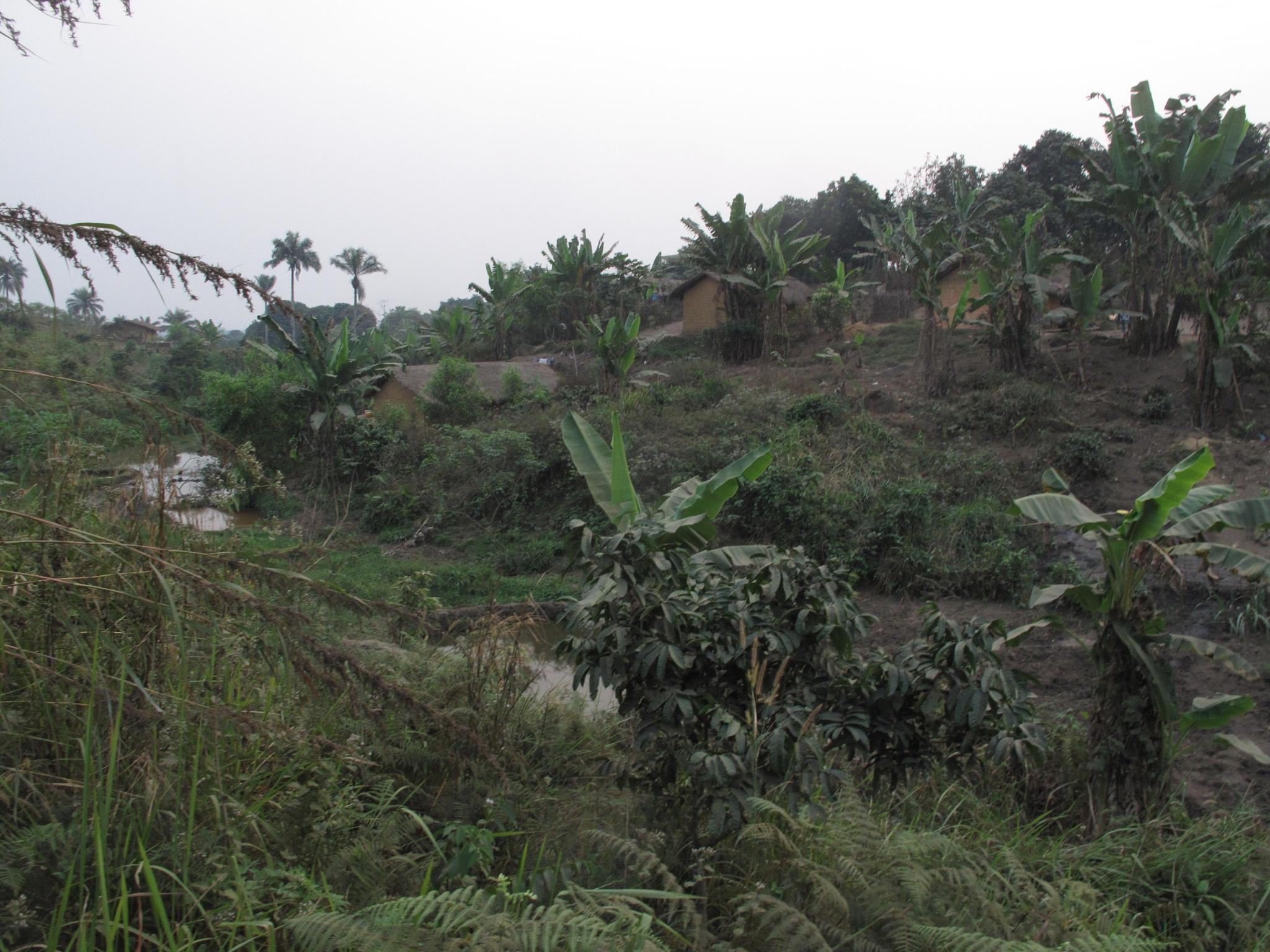 Pozo agua potable. Parroquia San Antonio Omendjadi RD Congo