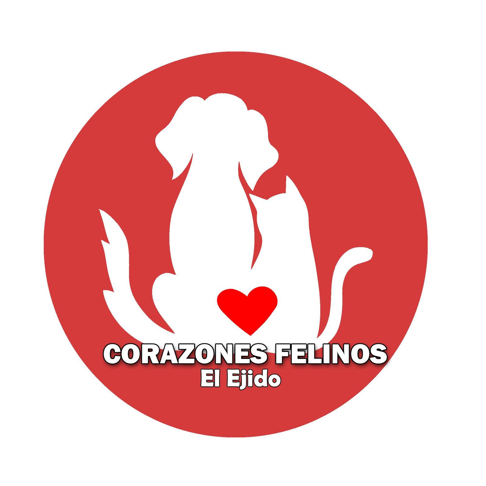 CORAZONES FELINOS EL EJIDO