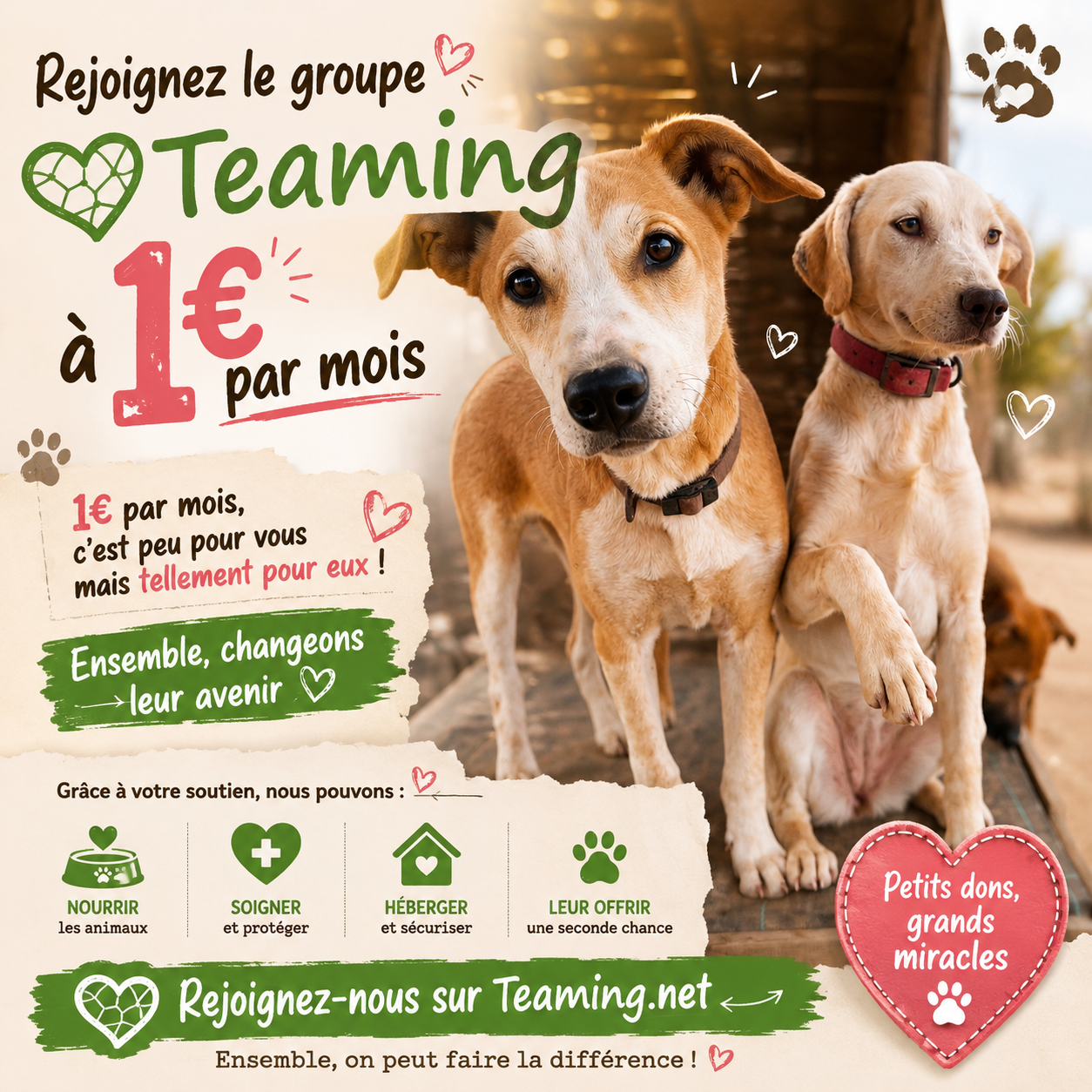Les écuries de la roseraie