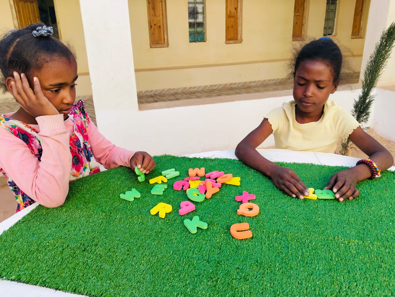 Bubisher, bibliotecas para el Sáhara