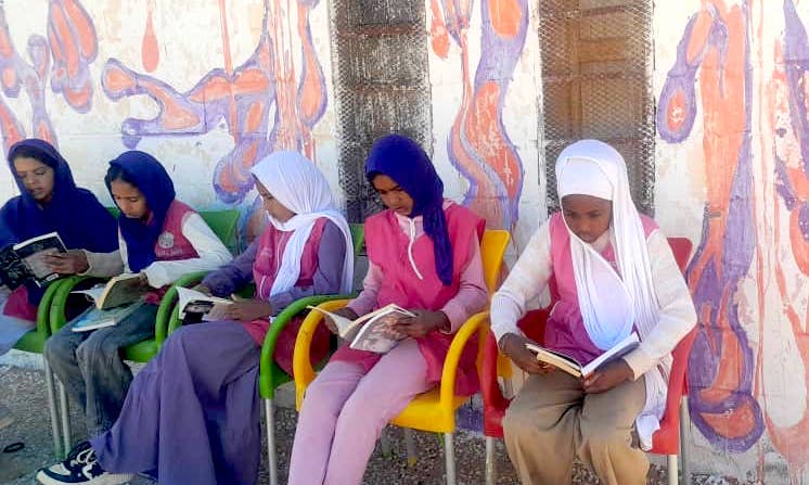 Bubisher, bibliotecas para el Sáhara