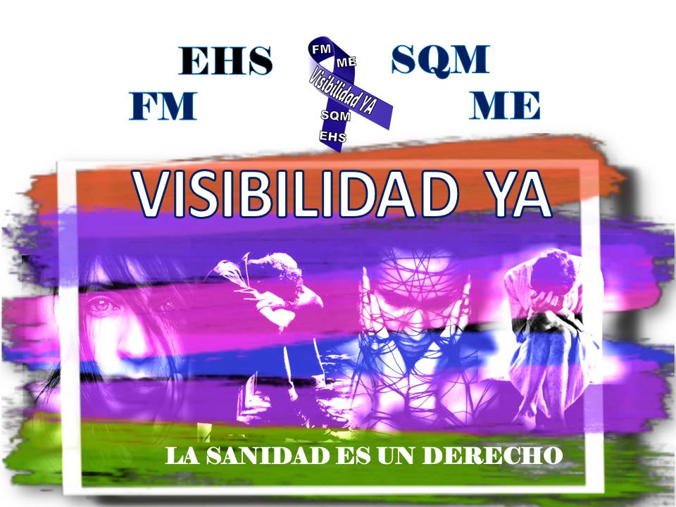 ONG VISIBILIDAD YA: FM-ME-SQM-EHS