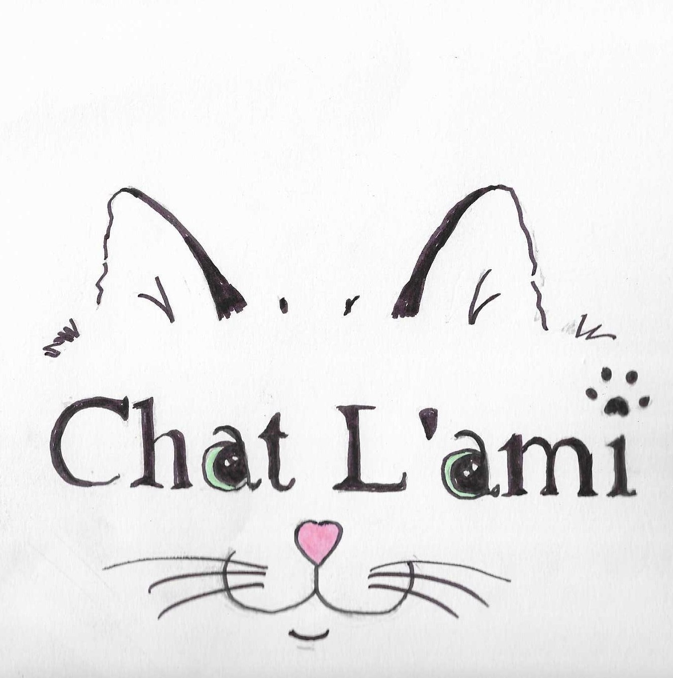 Chat L'ami