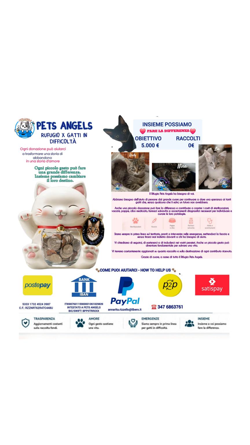 HELP Annarita Rizzello for Rifugio 