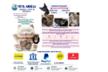 HELP Annarita Rizzello for Rifugio 