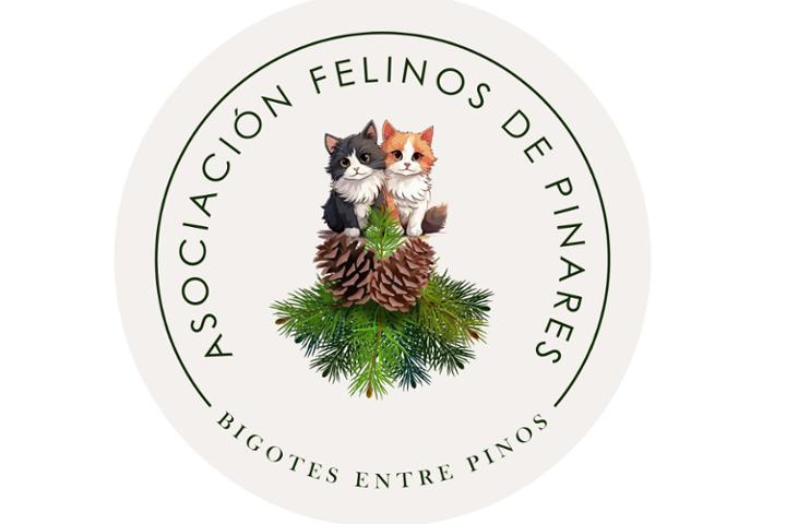 Felinos de Pinares
