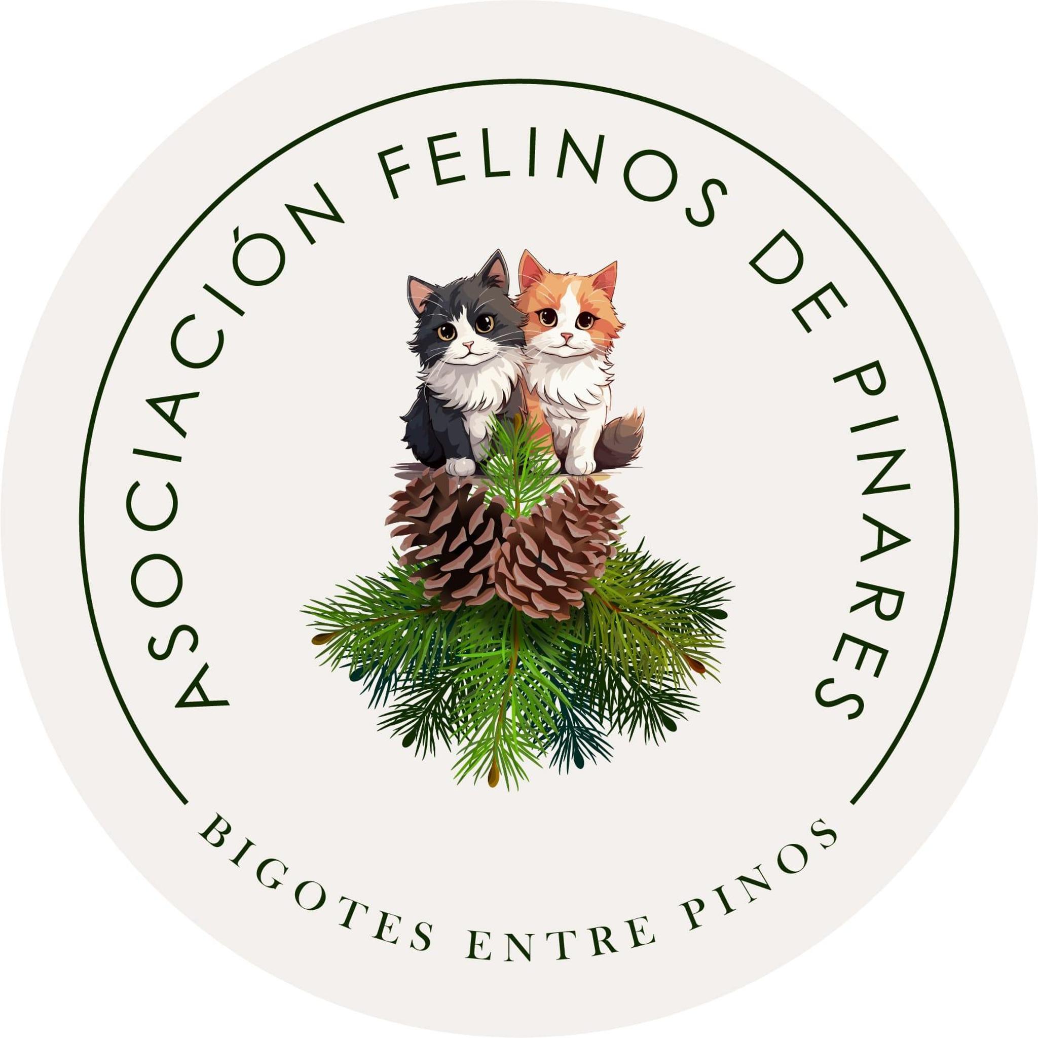 Felinos de Pinares