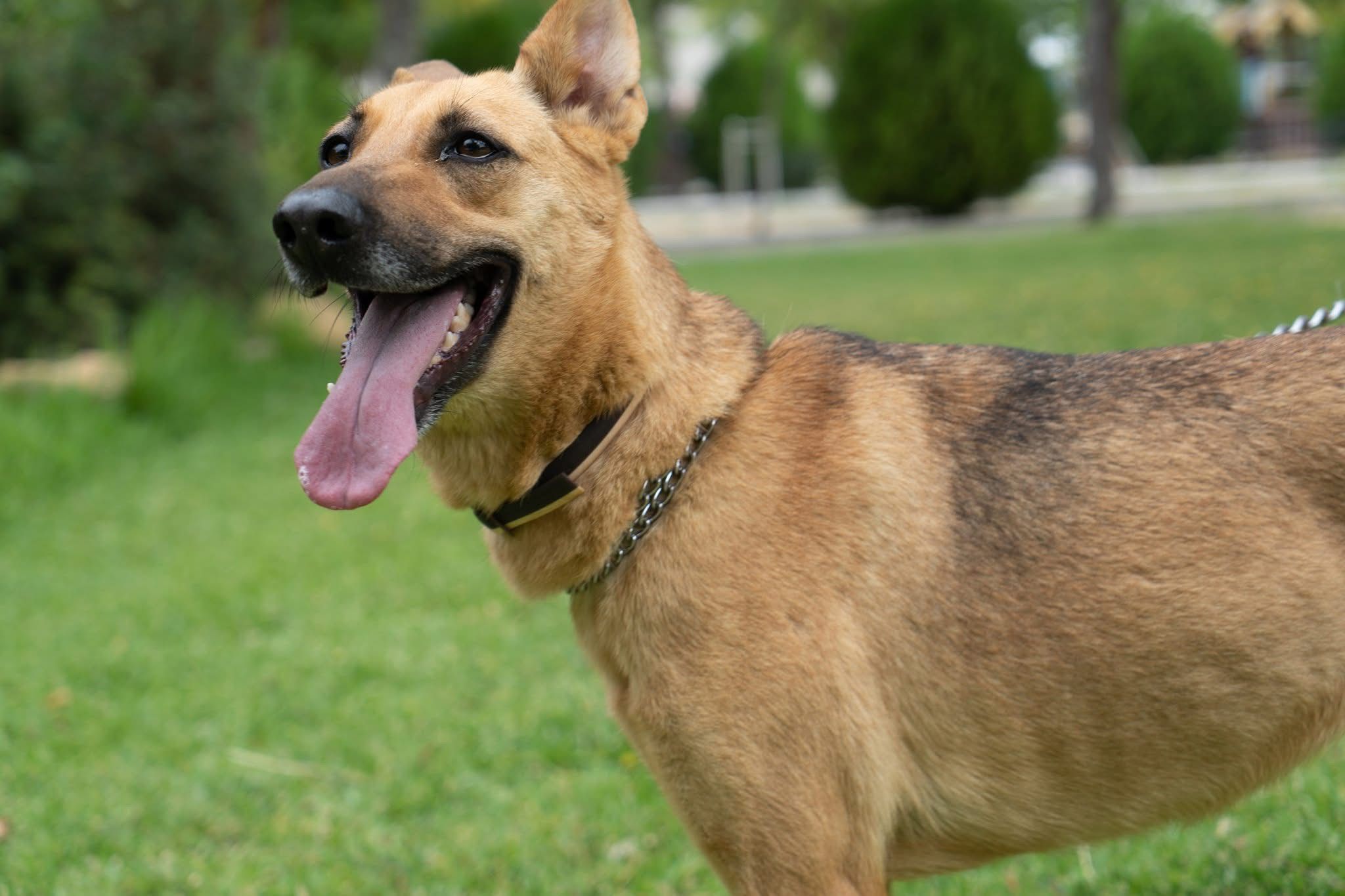 Mila, del miedo al amor