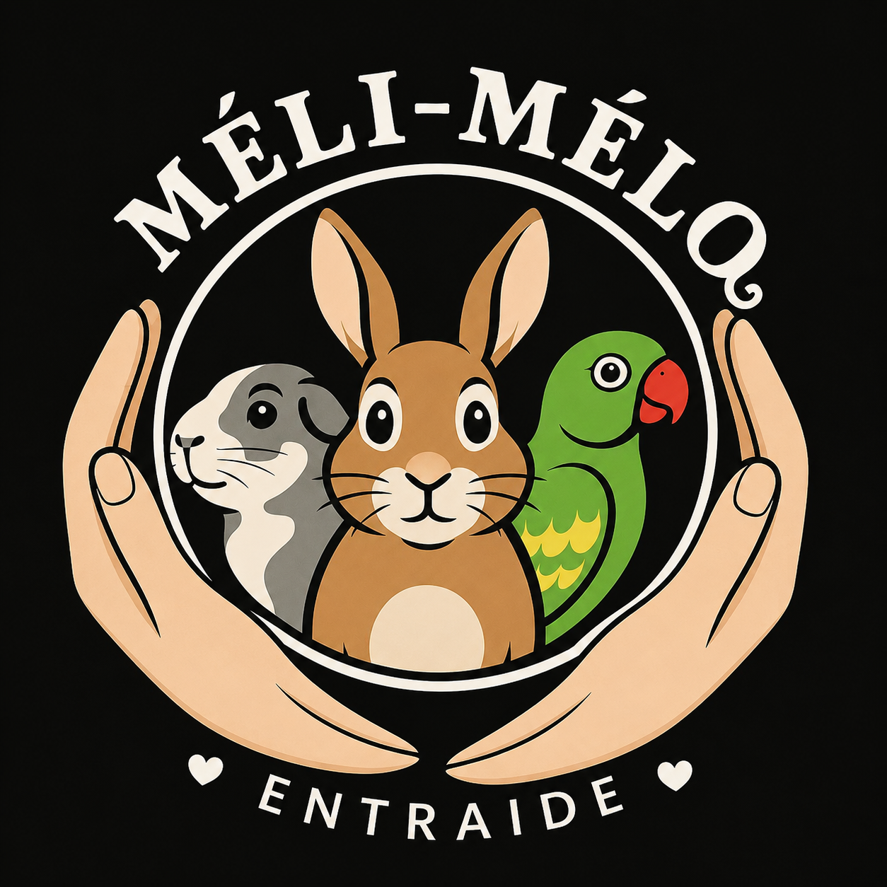 Meli Mélo Teaming