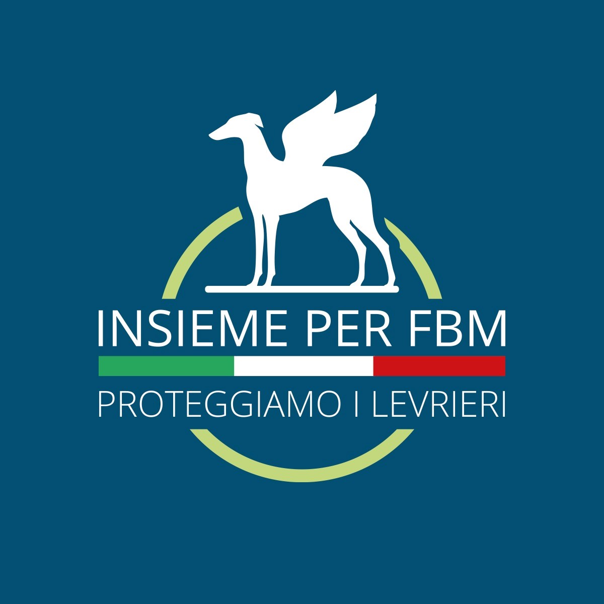 INSIEME PER FBM - SOSTENITORE