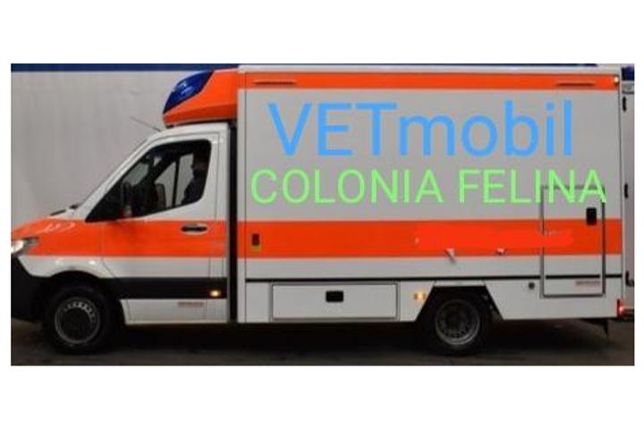 VETmobil Trapani Sicili