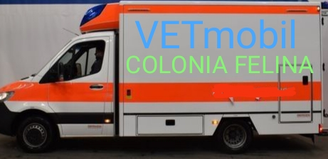 VETmobil Trapani Sicili