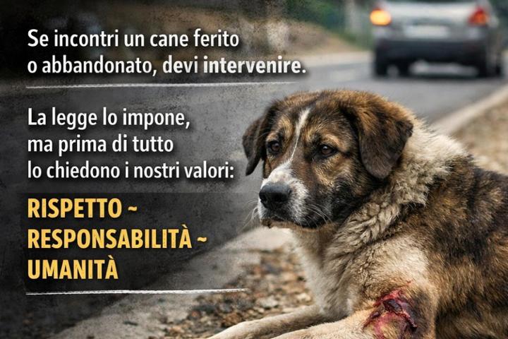 Volontari di Castellammare del Golfo