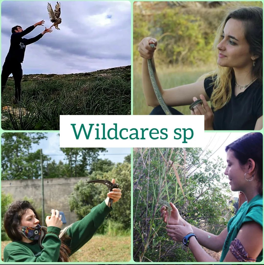 Wildcares SP