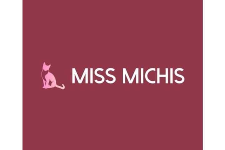 Missmichisoficial