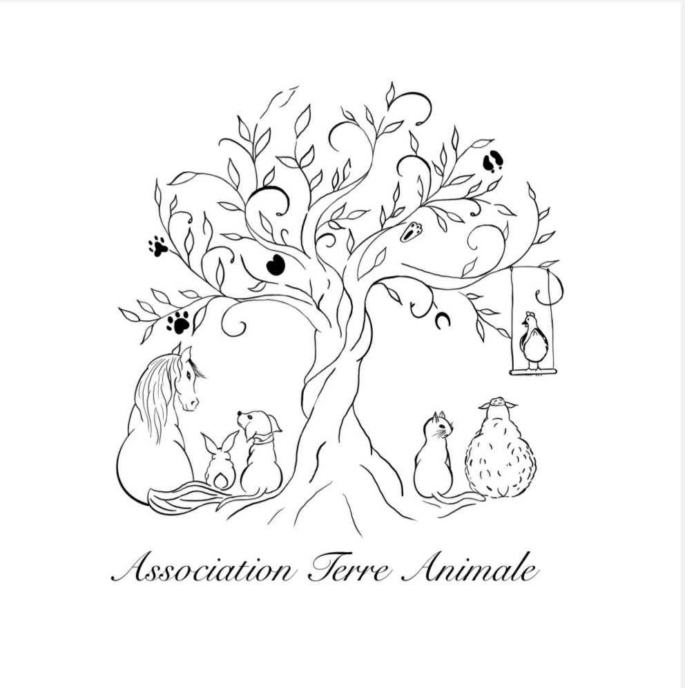 Terre Animale
