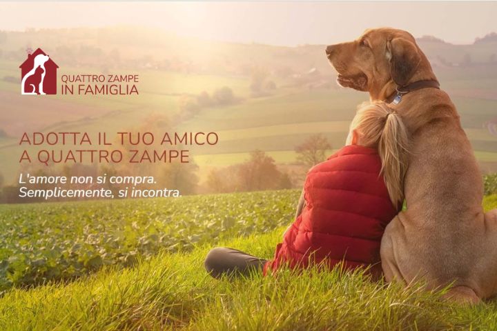 Quattro Zampe in Famiglia