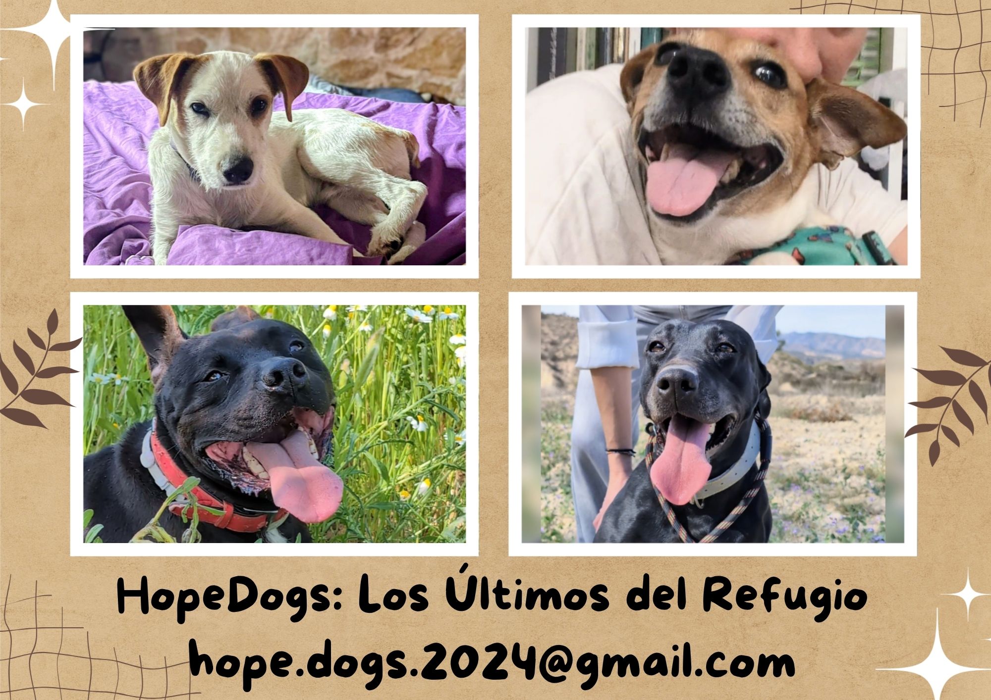 Hope Dogs. Los Últimos del Refugio.