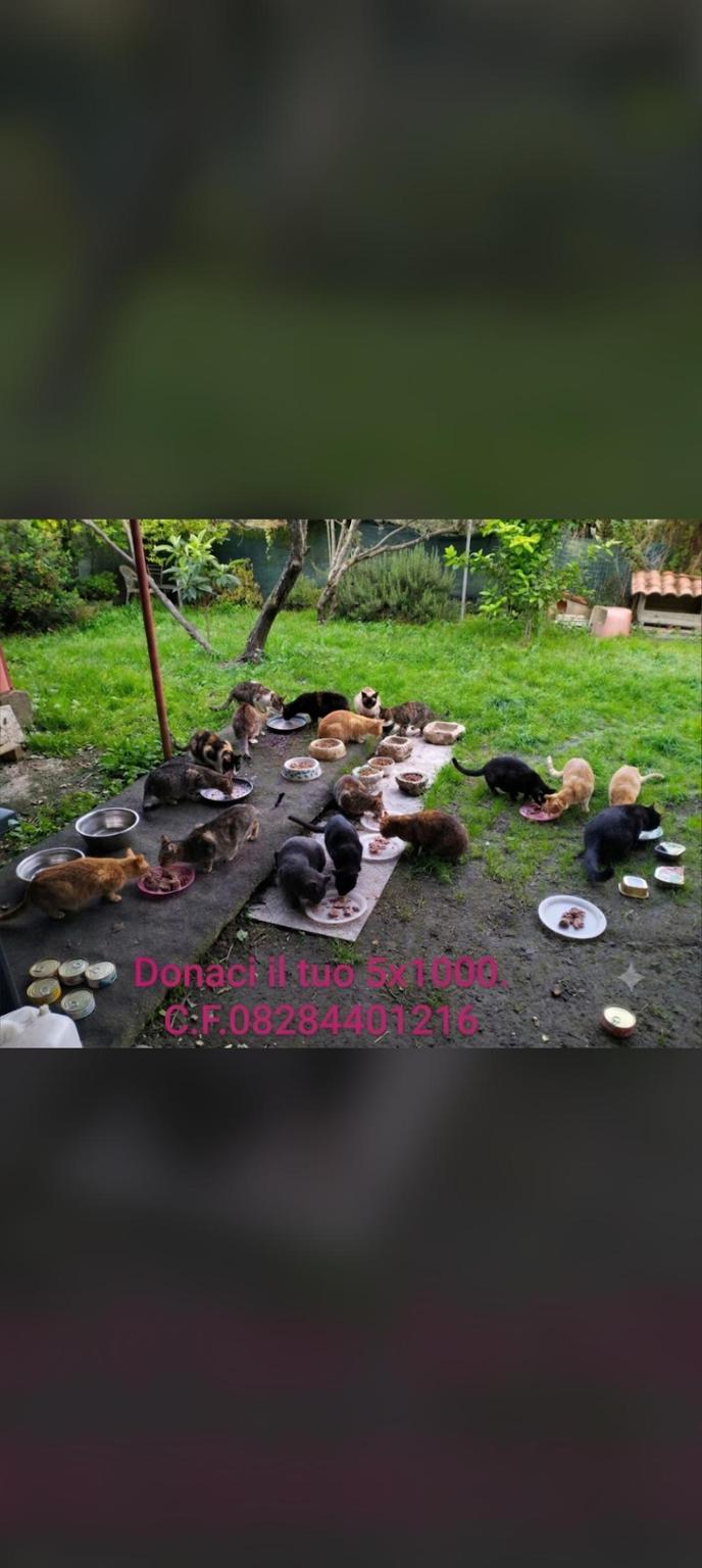 ProGetto Progatto Onlus