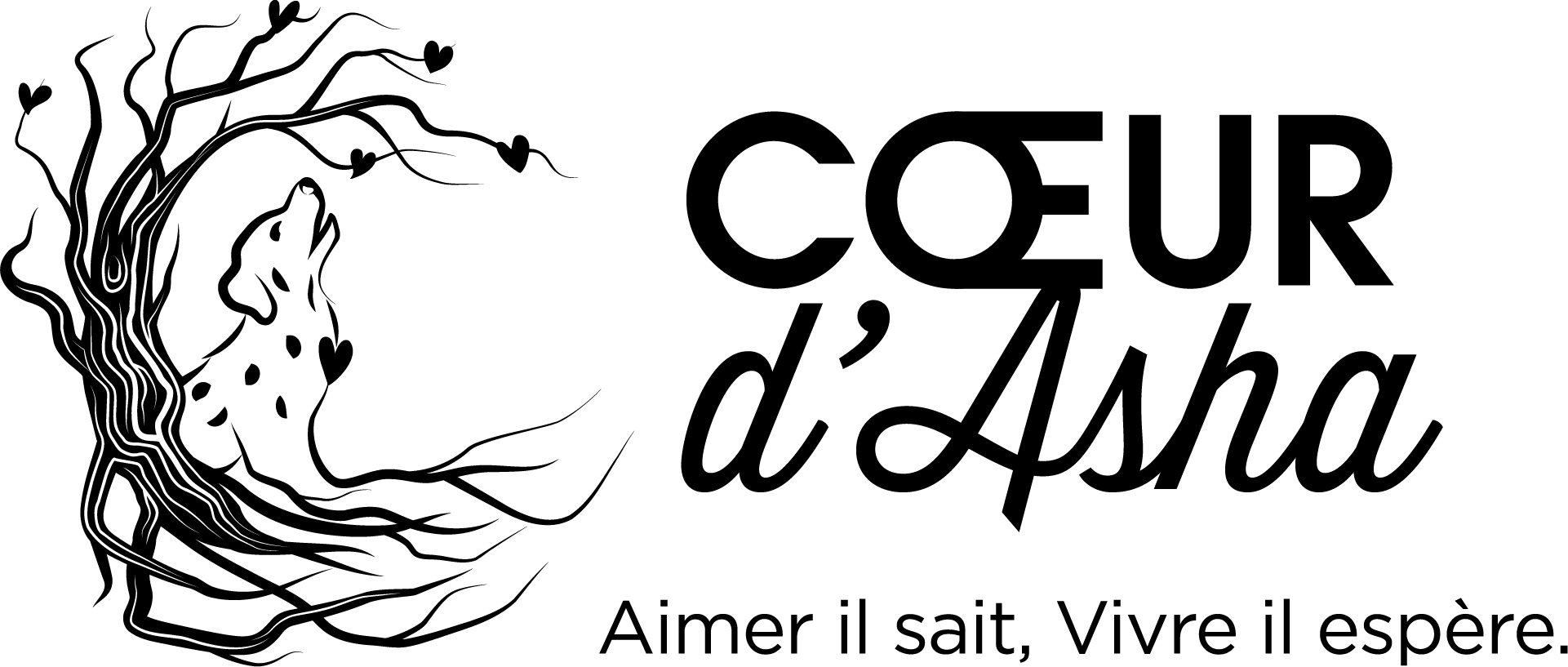 Association CŒUR D'ASHA