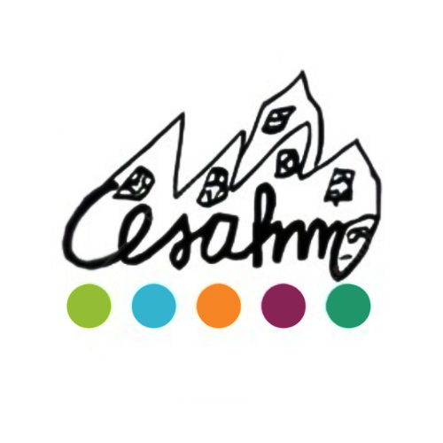 CESAHM - personnes en situation de handicap